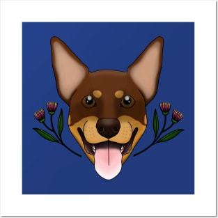 Australian Kelpie Posters and Art